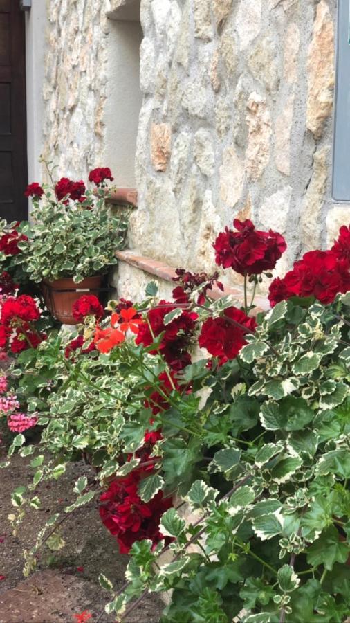 La Casetta Di Elena Lamezia Terme Ngoại thất bức ảnh